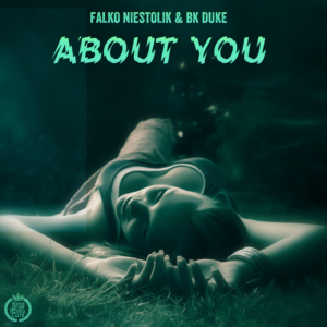 Falko Niestolik & BK Duke - About You (Cover)